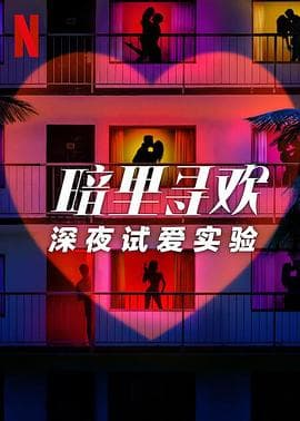 暗里寻欢:深夜试爱实验海报